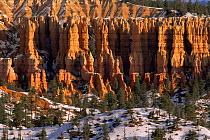 Winter snow fallen around hoodoos (rock pillar formations), Bryce Canyon NP, Utah, USA