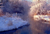 Stream in winter, Wisconsin, USA