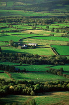 View onto farmland near Brecon, Brecon Beacons NP, Wales