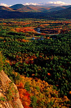 Autumn colours, Saco Valley, USA White mountains, New Hampshire. Landscape of colourful trees.