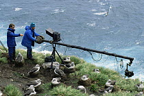 Camerman Paul Atkins and producer Peter Bassett film albatrosses with jimmy jib. Bird Is South Georgia November 1992 for Life in the Freezer