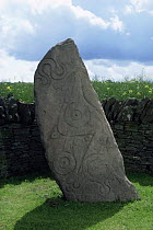 Carved pictish stone. Angus, Scotland.