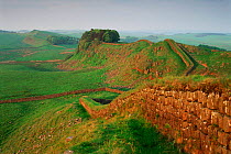 Hadrian's wall at Housesteads, Northumberland, UK.