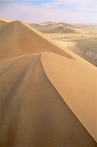 Namib desert, sand dunes near Walvis Bay. Namibia