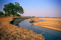 Luangwa River in the dry season. Zambia