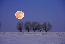 Poland in winter. Podlasie. Full moon and snow landscape.