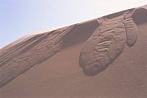 Progressive movement of sand dunes. Skeleton Coast, Namibia.