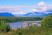 Landscape, river winding through Denali National Park, Alaska.], USA
