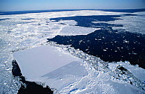 Looking down onto broken ice fields, St Lawrence stream, Magdalen Islands, Canada