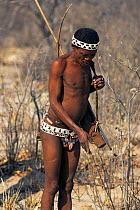 Kalahari Bushman tracking. Bushmanland, Namibia, Southern Africa