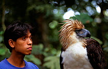 Monkey eating eagle (Pithecophaga jefferyi) with handler. Captive,  Philippines