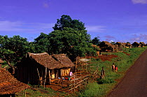 Makeshift homes of saphire seekers near Ankarana Special Reserve, Madagascar