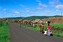 Makeshift homes of sapphire seekers, near Ankarana SR,  Madagascar.