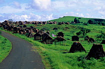 Makeshift homes of saphire seekers line road near Ankarana Special Reserve, Madagascar