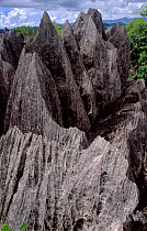 'Tsingy' landscape: eroded limestone pinnacles, Madagascar Ankarana special reserve