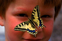 Swallowtail butterfly on child's face