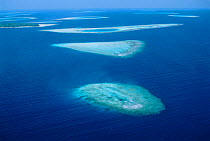 Coral atolls from the air,  South Male Atoll, Maldives.