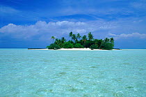 Uninhabitated tropical island. South Male Atoll, Maldives.