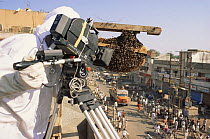 Camerman David Shale films honey bee colony wearing protective clothing, Naspur, India.