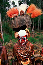 Huli man at sing-sing nr. Mount Hagen, Papua New Guinea. Traditional dress. 1990.