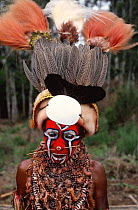 Huli man in traditional dress at ceremony, Mount Hagen, Papua New Guinea 1991.