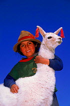 Indian with llama near Cusco, Peru.