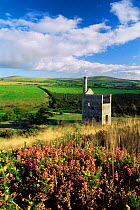 Old Tin mine on edge of moor, Dartmoor National Park, Devon.  Heather and Gorse in foreground.