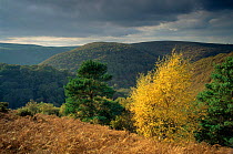 Autumn landscape, Weber's Post, Exmoor, Somerset, England.