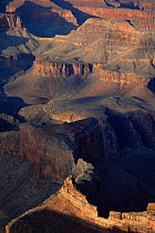 Looking down into Grand Canyon at dawn, Grand Canyon NP, Arizona, USA