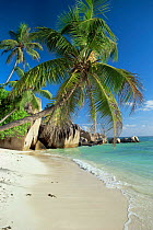 Palm fringed beach of Anse Source d'Argent, La Digue, Seychelles, Indian Ocean