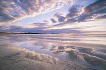 Beach with cloud reflections in wet sand, Feall Bay, Argyll, Scotland