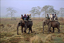 Game viewing from Indian elephants, Kaziranga National Park, Assam, India.