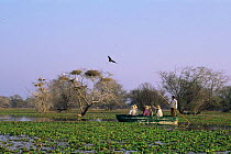 Bird viewing from boat, Keoladeo Ghana NP, Bharatpur, Rajasthan, India