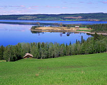 Looking down upon Lake Kallsjon in the summer with holiday traditional wooden chalets on edge of lake, Jamtland, Sweden