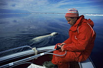 Cameraman Doug Allan prepares to film swimming polar bear from boat. On location for BBC Polar Bear programme 1996