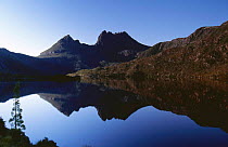 Cradle Mountain reflected in Lake Dove in evening light, Cradle Mountain Lake St Clair NP, Tasmania, Australia