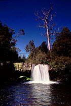 Knyvet Falls, Pencil Pine River Cradle Mtn-Lake St. Clair NP Tasmania, Australia