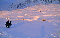 Martin Saunders on location filming Polar bears for BBC programme "Polar Bear Special", Svalbard, Norway 1996