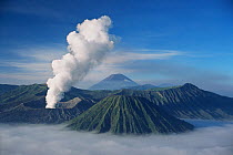 Mount Bromo smoking above cloud layer (active volcano) Indonesia