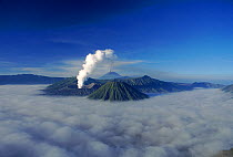 Mount Bromo smoking above cloud layer (active volcano) Indonesia