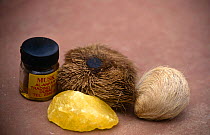 Musk deer products {Moschus sp} from left to right back: Perfume, real musk pod, fake pod; front: articifial musk, India