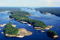 Aerial view of Amazonia, Brazil. Upper Rio Negro at equator.