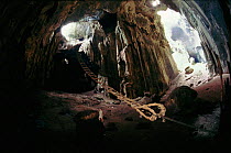 Gomantong caves - collecting site for Cave swiftlet nests, Sabah, Borneo, Malaysia.