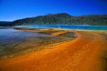 Grand Prismatic Spring in Midway Geyser Basin, Yellowstone NP, Wyoming, USA.