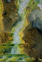 Close up of Grand Prismatic Spring in Midway Geyser Basin, Yellowstone NP, Wyoming, USA