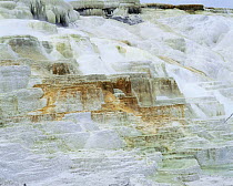 Limestone formations at Minerva hot springs, Yellowstone NP, Wyoming, USA