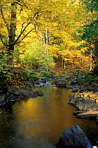 Kakabicka Falls with surrounding autumn woodland, Michigan, USA