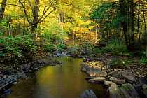 Kakabicka Falls with surrounding autumn woodland, Michigan, USA