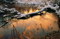 Evening sun hits frozen winter creek with snow, Wisconsin, USA