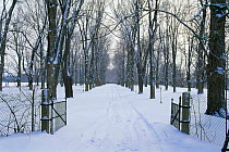 Looking down snow covered driveway through gates in winter, Wisconsin, USA, sequence 1 / 4